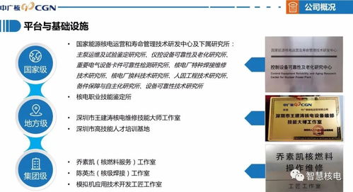 喜訊 公司成功通過國(guó)家高新技術(shù)企業(yè)認(rèn)定，技術(shù)服務(wù)獲權(quán)威認(rèn)可